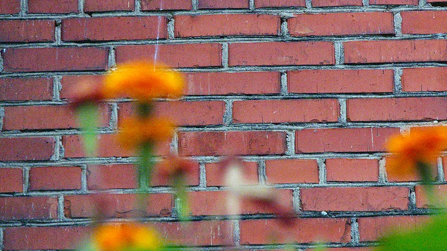 PADIDĖJUSI SAVIŽUDYBIŲ RIZIKA YRA STEBIMA IR EMIGRANTŲ TARPE