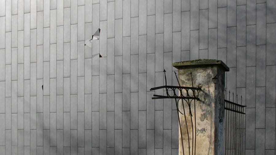 KAIP NUSTOTI GAILĖTIS SAVĘS